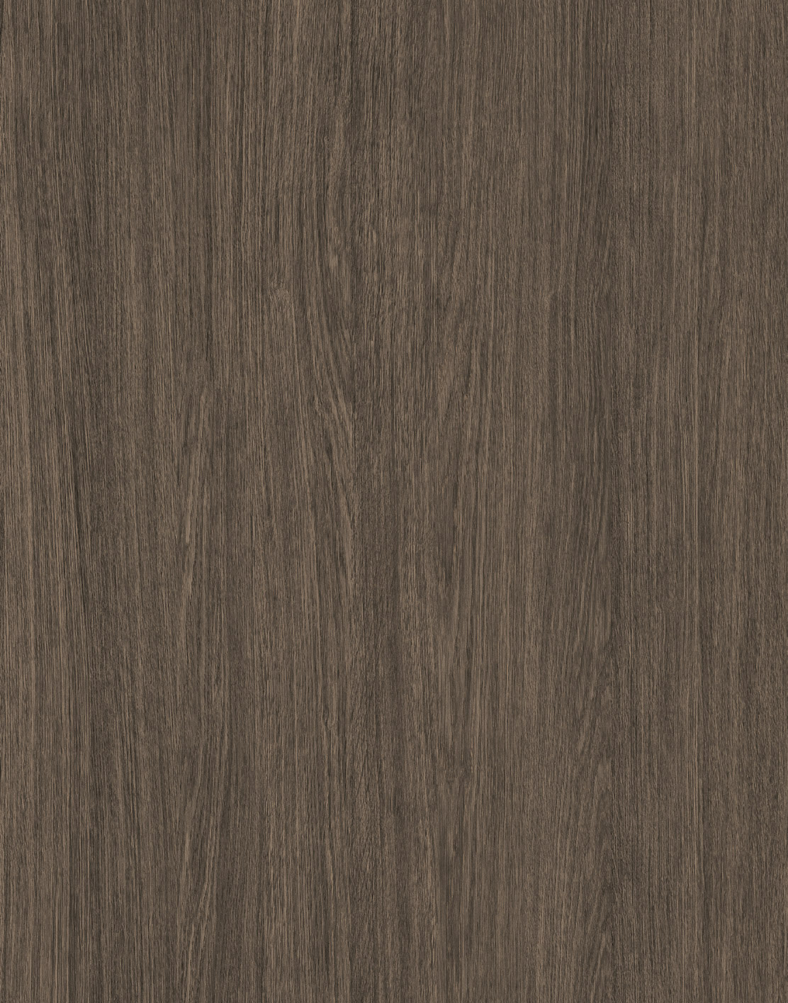 9130 PV COCOA PRIMAVERA OAK.jpg
